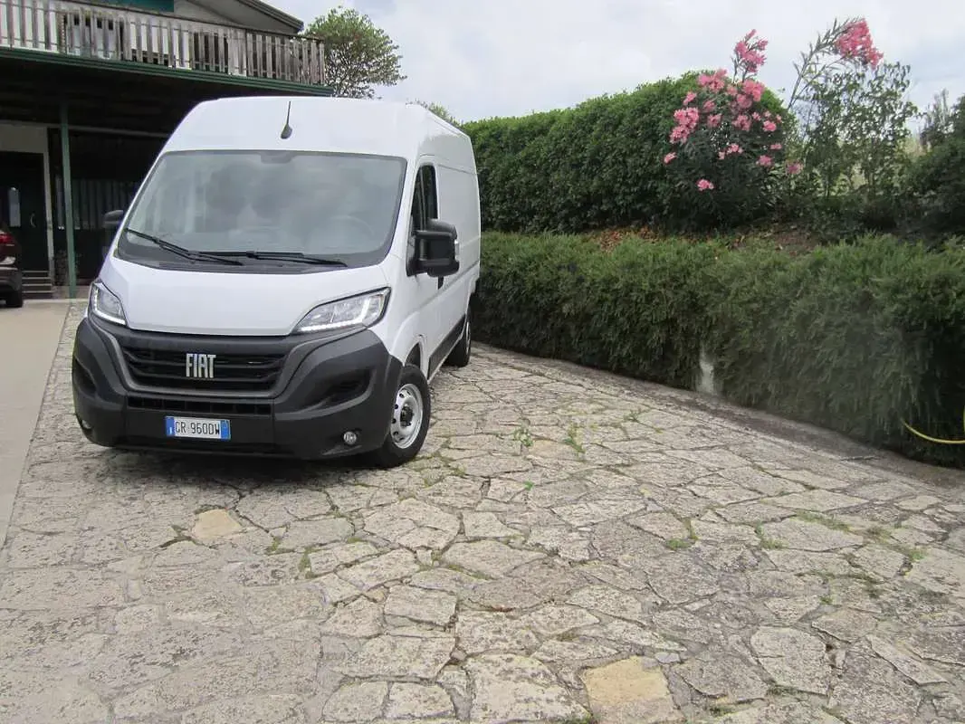 Usata Fiat Ducato 33 140 CV (102 kW) 2023 Bianco Furgone
