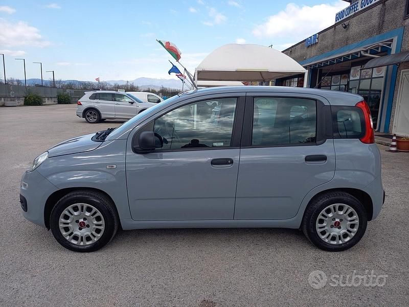 Usata Fiat Panda Easy 69 CV (50 kW) 2018 Grigio Utilitaria