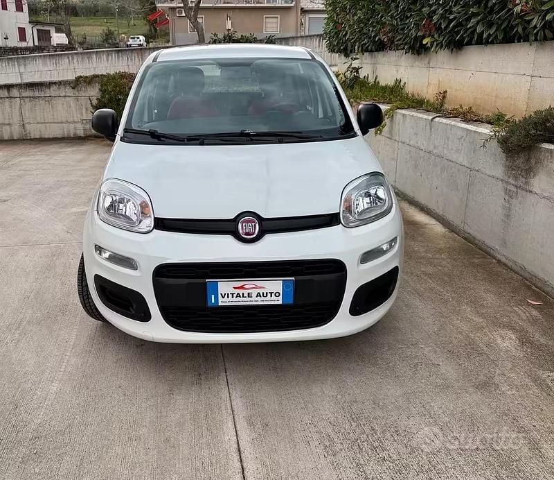 Usata Fiat Panda Easy 69 CV (50 kW) 2020 Bianco Utilitaria