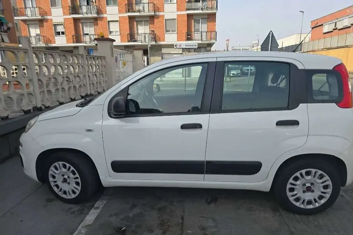 Usata Fiat Panda Lounge 69 CV (50 kW) 2019 Utilitaria