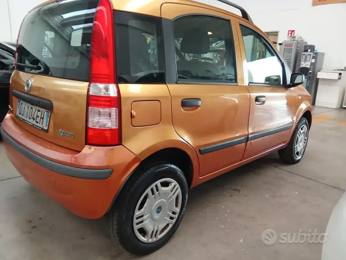 Usata Fiat Panda Dynamic 60 CV (44 kW) 2007 Arancione Utilitaria