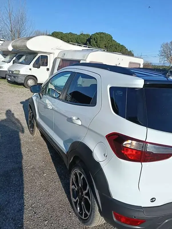 Usata Ford Ecosport Active 125 CV (91 kW) 2022 Bianco SUV