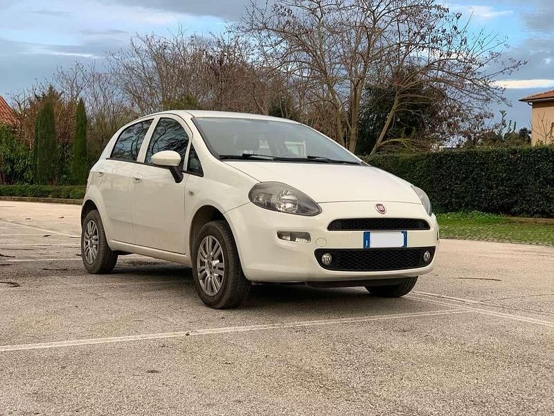 Usata Fiat Punto Lounge 77 CV (56 kW) 2016 Utilitaria