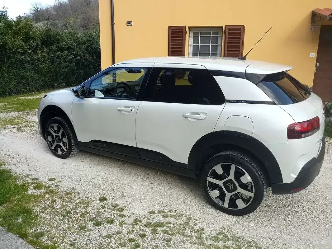 Usata Citroën C4 PureTech 110 CV (80 kW) 2018 Bianco SUV
