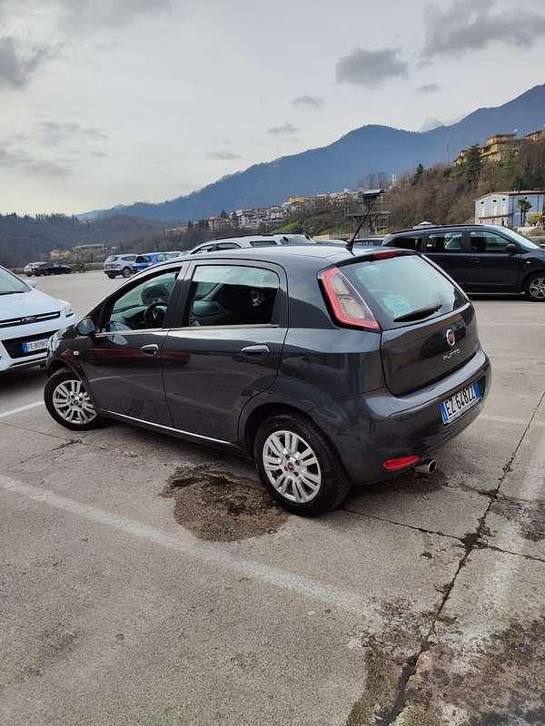 Usata Fiat Punto Lounge 75 CV (55 kW) 2015 Utilitaria