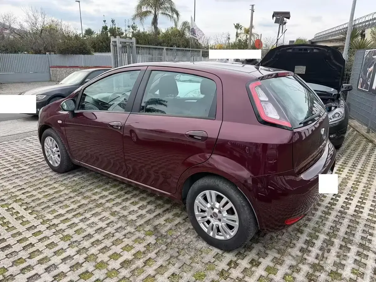 Usata Fiat Punto Lounge 95 CV (69 kW) 2012 Viola Utilitaria