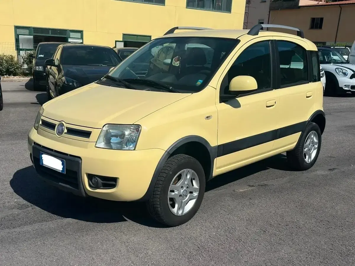 Usata Fiat Panda 4x4 69 CV (50 kW) 2010 Utilitaria