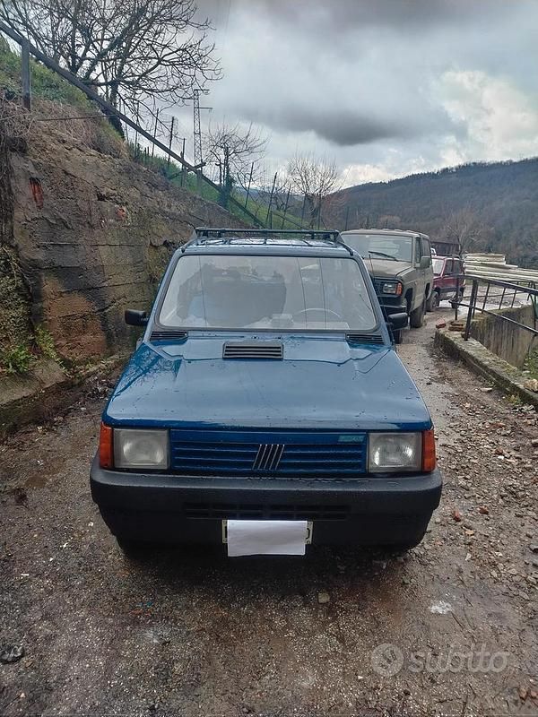 Usata Fiat Panda 4x4 1993 Blu Utilitaria