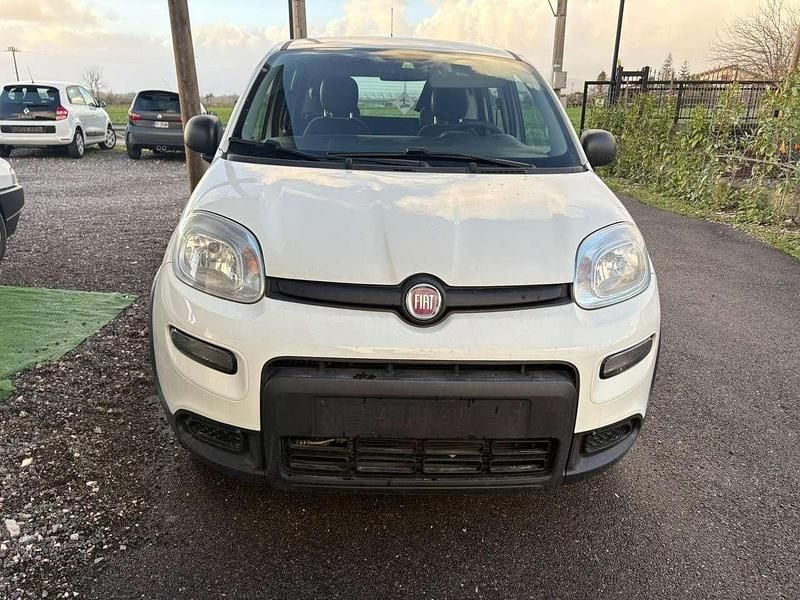 Usata Fiat Panda 4x4 86 CV (63 kW) 2015 Bianco Utilitaria