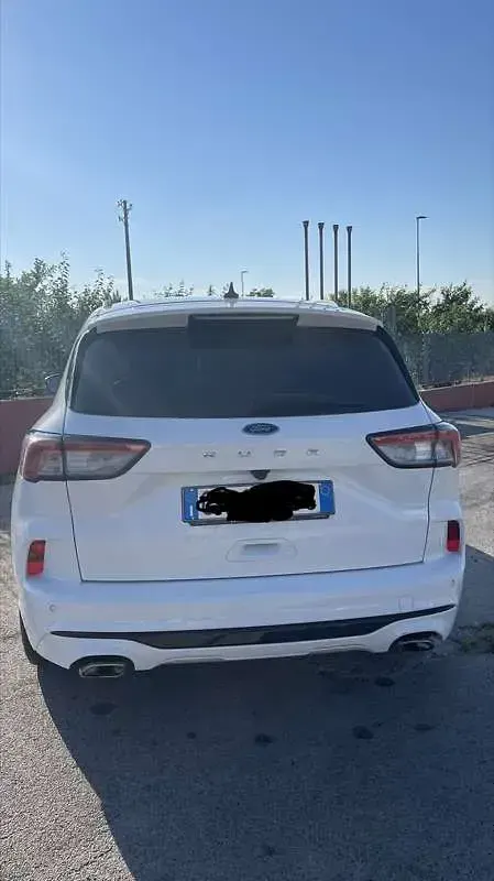 Usata Ford Kuga ST-Line X 120 CV (88 kW) 2022 SUV