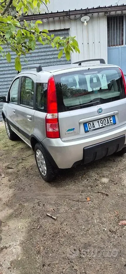 Usata Fiat Panda 4x4 Climbing 60 CV (44 kW) 2006 Grigio Utilitaria