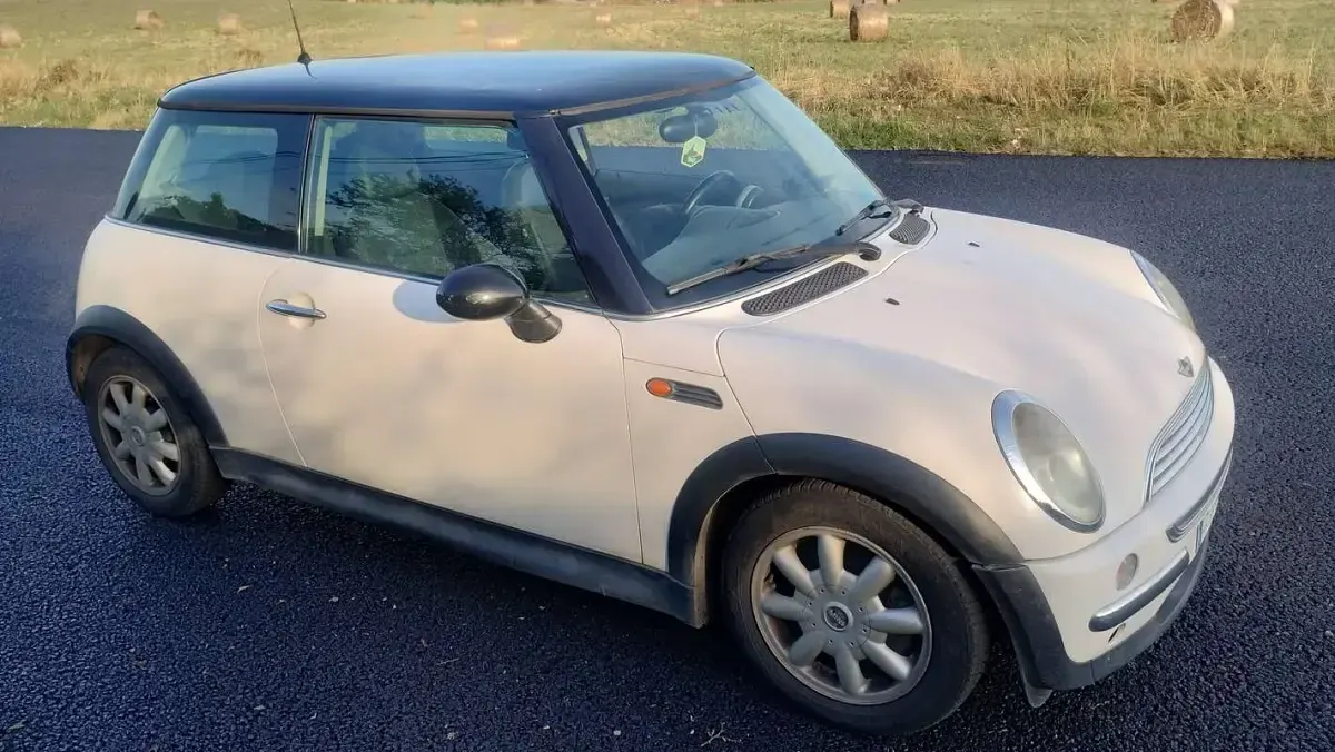 Usata Mini One D 75 CV (55 kW) 2004 Bianco Utilitaria