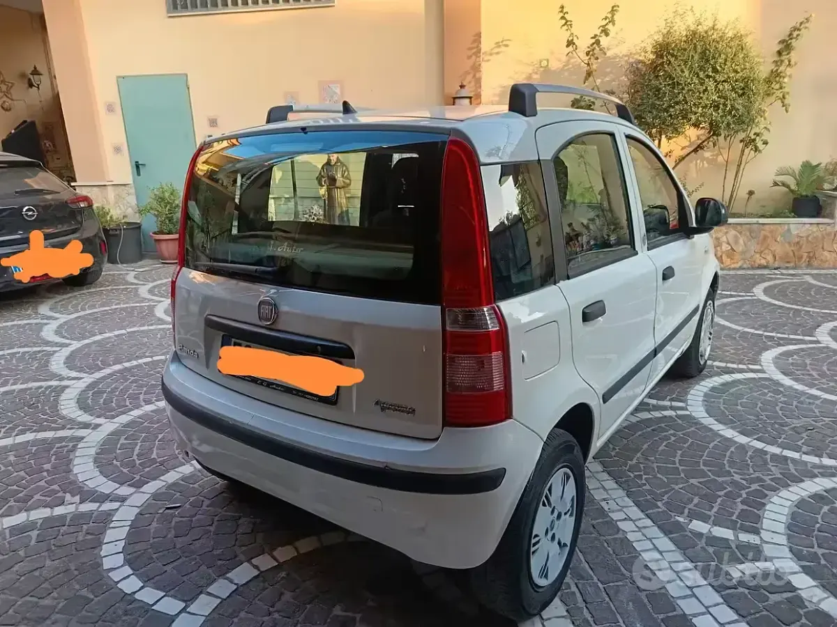 Usata Fiat Panda Dynamic 69 CV (50 kW) 2011 Bianco Utilitaria