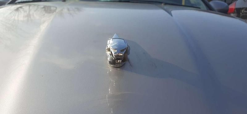 Usata Jaguar X-type 196 CV (144 kW) 2003 Argento Berlina