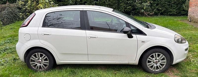 Usata Fiat Punto Lounge 75 CV (55 kW) 2013 Bianco Berlina