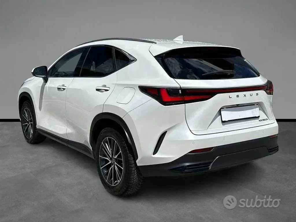 Usata Lexus NX350h 190 CV (139 kW) 2023 Bianco SUV