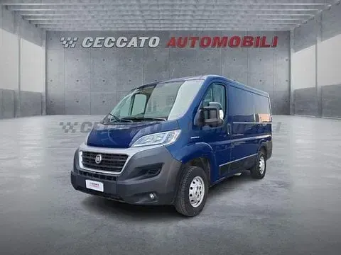 Usata Fiat Ducato 116 CV (85 kW) 2019 Furgone