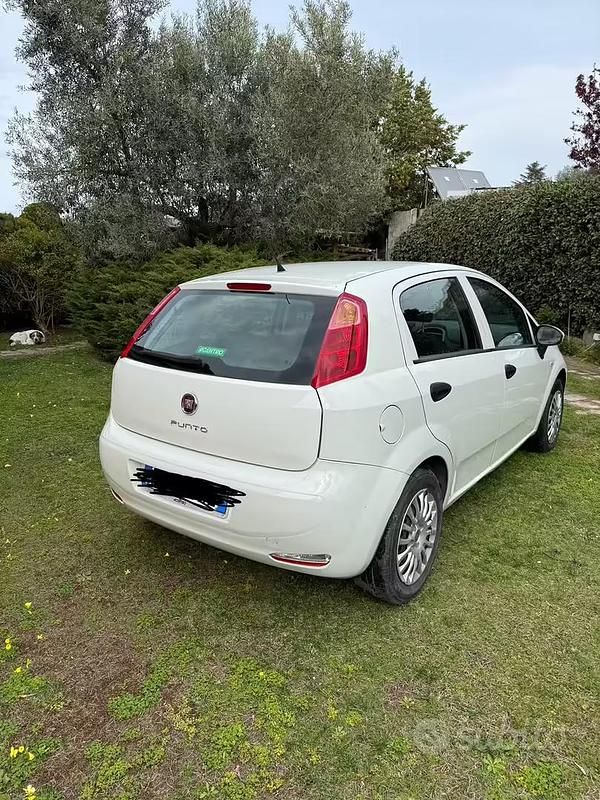 Usata Fiat Punto 69 CV (50 kW) 2016 Bianco Utilitaria