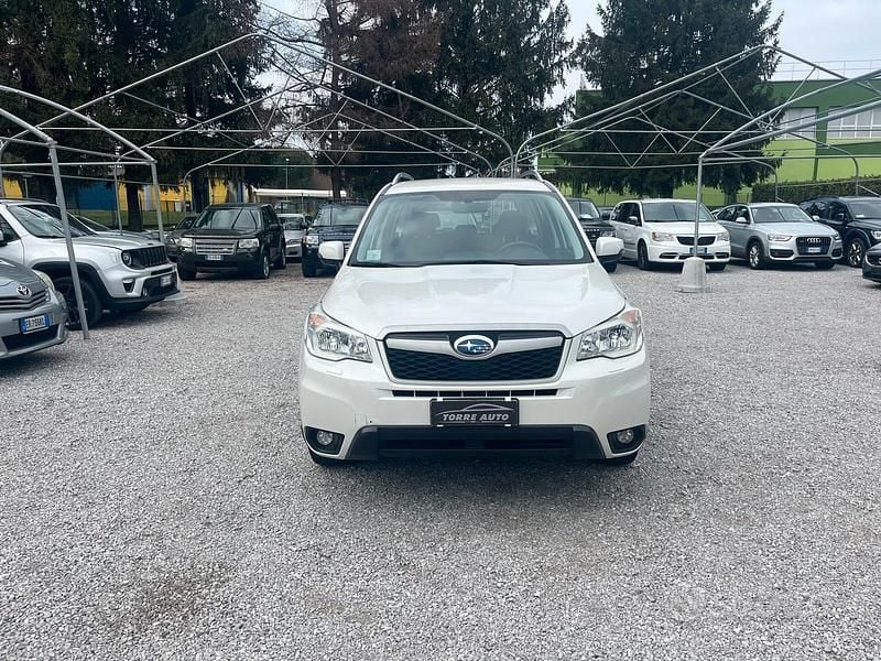Usata Subaru Forester Trend 147 CV (108 kW) 2014 Bianco SUV