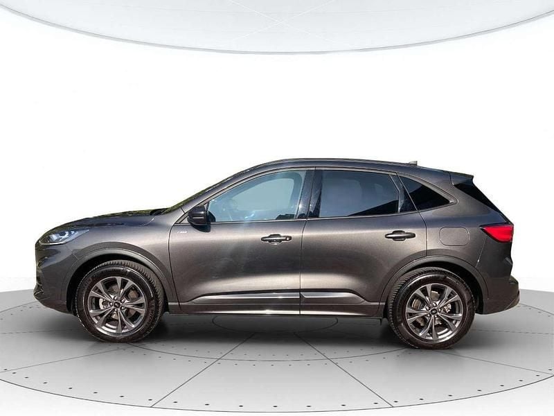 Usata Ford Kuga ST-Line X 152 CV (111 kW) 2022 Grigio SUV