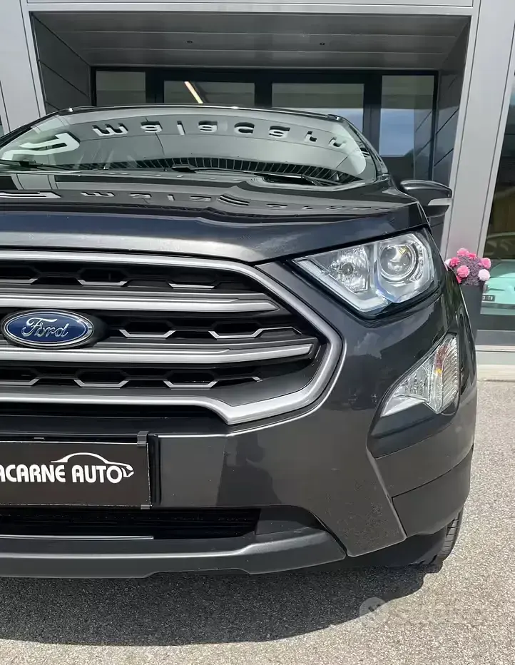 Usata Ford Ecosport Business Edition 125 CV (91 kW) 2019 Grigio SUV