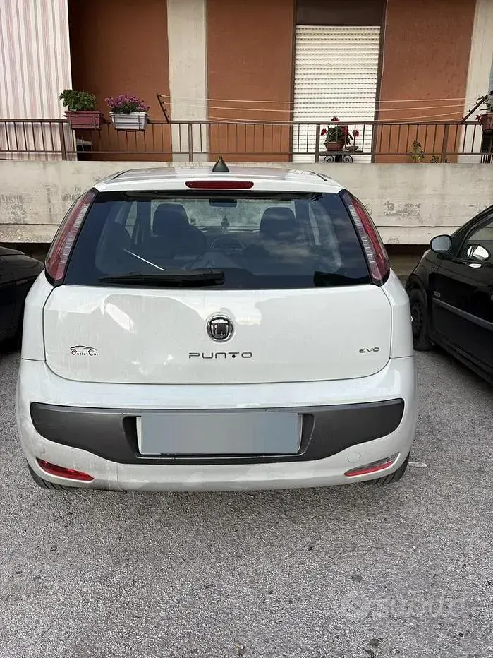 Usata Fiat Punto 75 CV (55 kW) 2013 Bianco Utilitaria