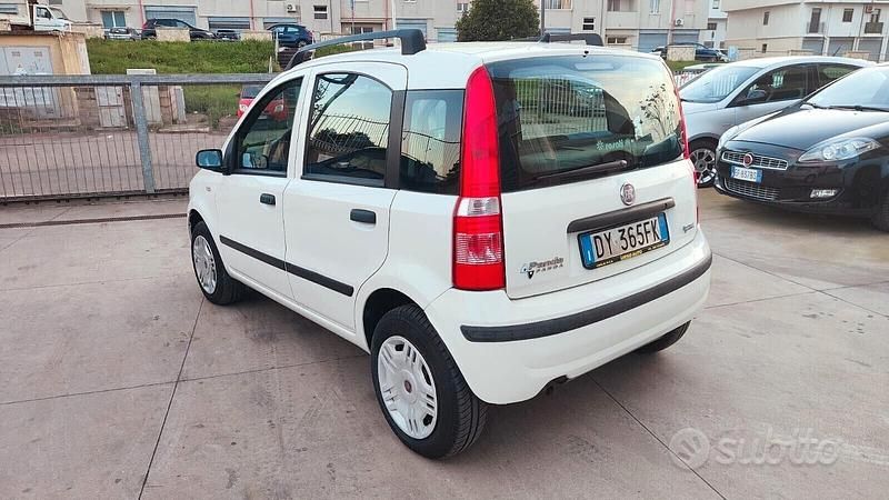 Usata Fiat Panda Dynamic 60 CV (44 kW) 2009 Bianco Utilitaria