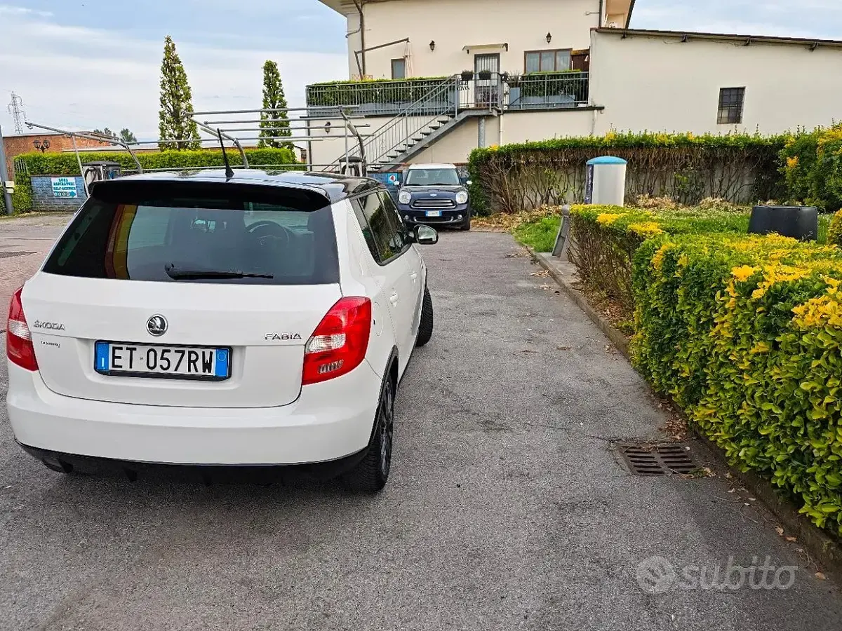 Usata Skoda Fabia 69 CV (50 kW) 2014 Berlina