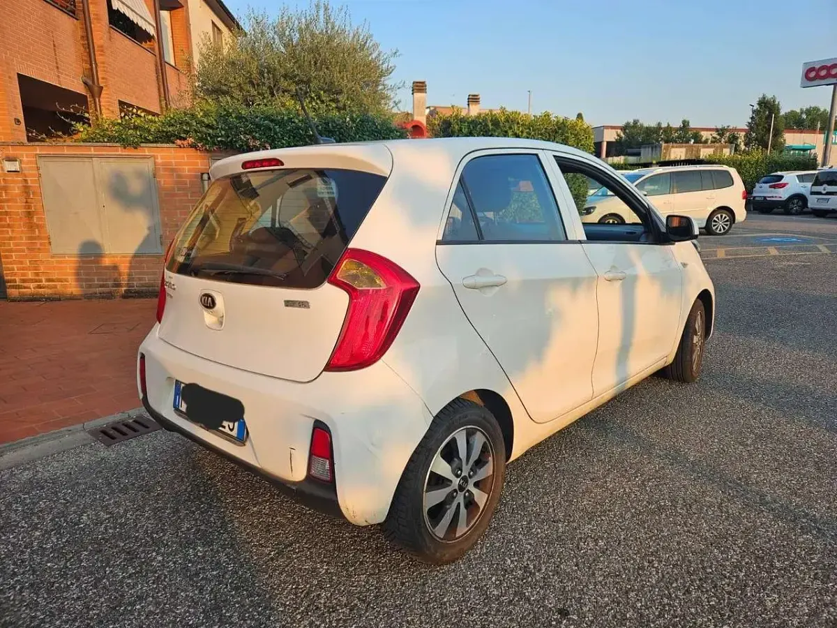 Usata Kia Picanto 67 CV (49 kW) 2017 Bianco Utilitaria