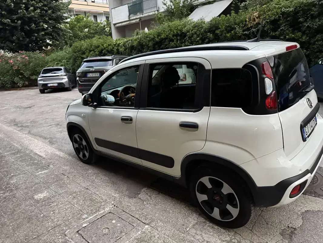 Usata Fiat Panda Cross Cross 71 CV (52 kW) 2024 Utilitaria