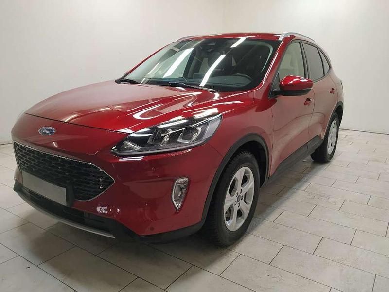 Usata Ford Kuga Business Edition 120 CV (88 kW) 2021 Rosso SUV
