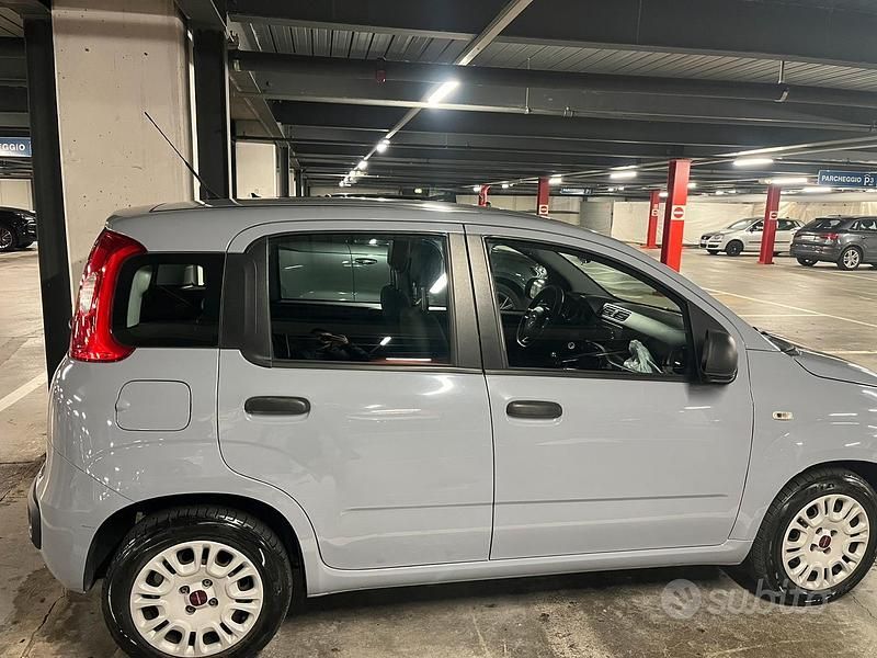 Usata Fiat Panda 69 CV (50 kW) 2018 Utilitaria