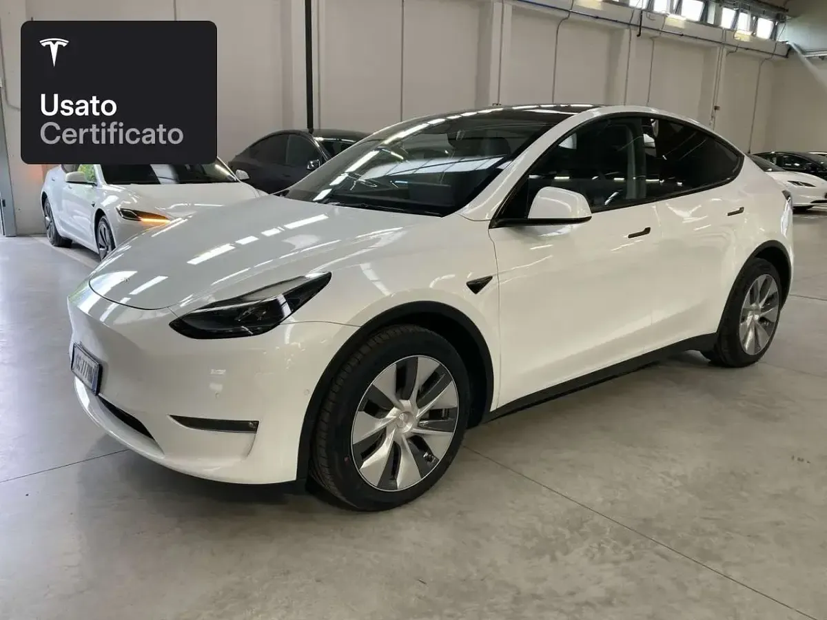 Usata Tesla Model Y Long Range AWD 258 kW (351 CV) 2021 Pearl white multicoat SUV
