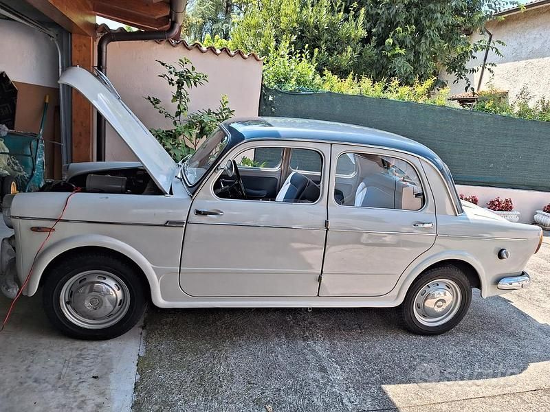 Usata Fiat 1100 1950 Grigio Berlina