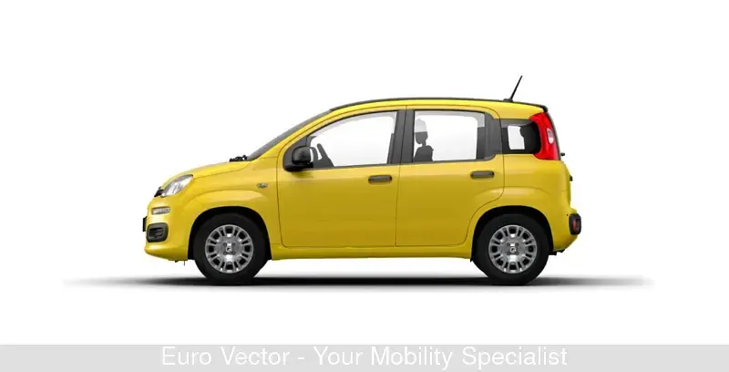 Usata Fiat Panda S 70 CV (51 kW) 2024 Giallo Utilitaria