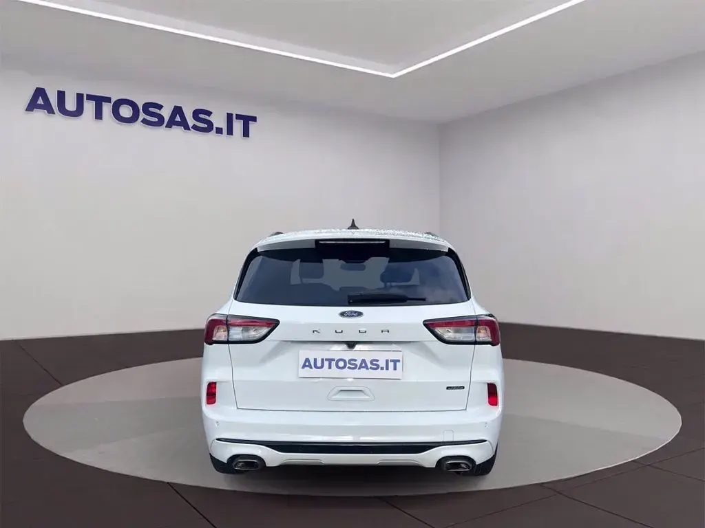 Usata Ford Kuga ST-Line X 225 CV (165 kW) 2023 Bianco SUV