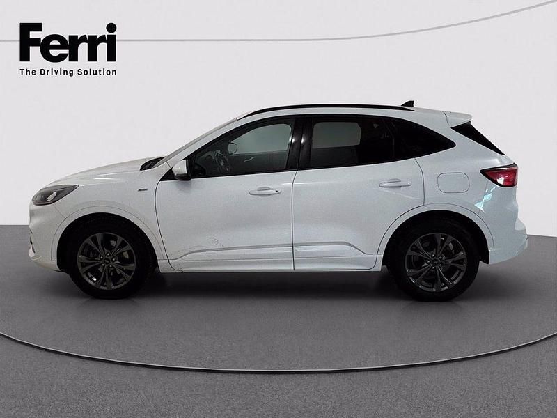 Usata Ford Kuga ST-Line 190 CV (139 kW) 2022 Bianco frozen SUV