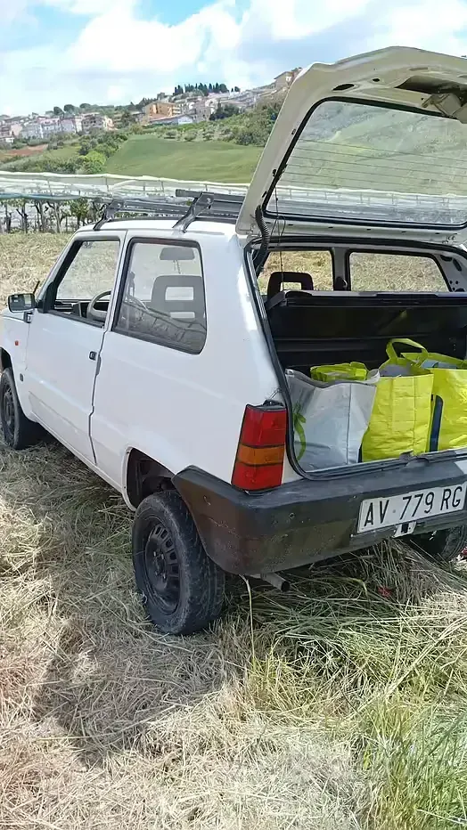 Usata Fiat Panda 39 CV (28 kW) 1997 Bianco Berlina