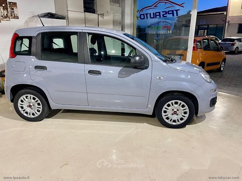 Usata Fiat Panda Easy 69 CV (50 kW) 2020 Gray Berlina