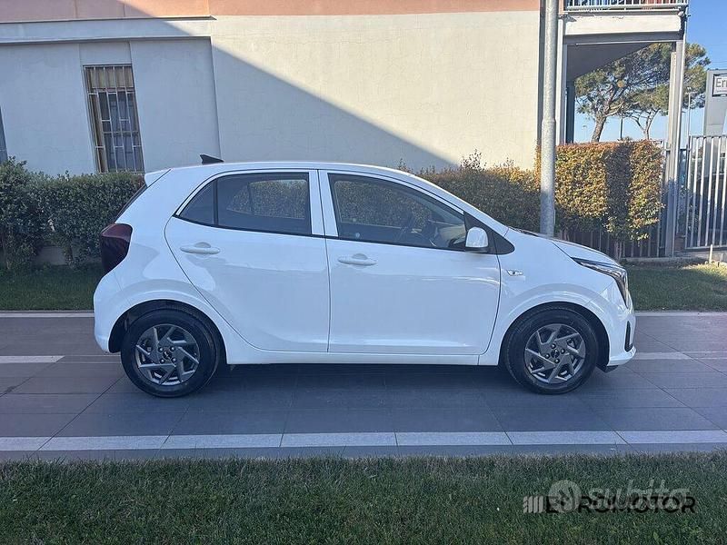 Usata Kia Picanto Urban 63 CV (46 kW) 2024 Bianco Utilitaria