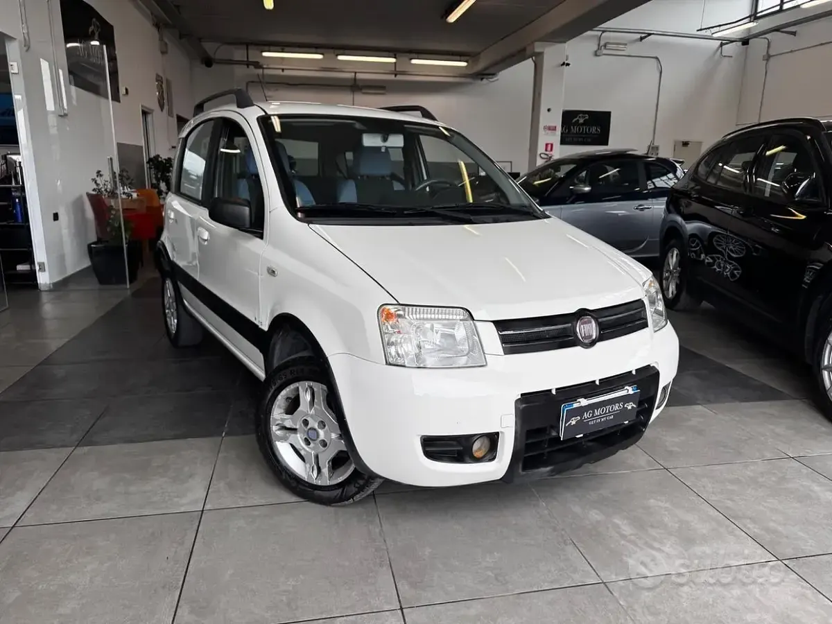 Usata Fiat Panda Climbing 60 CV (44 kW) 2009 Utilitaria