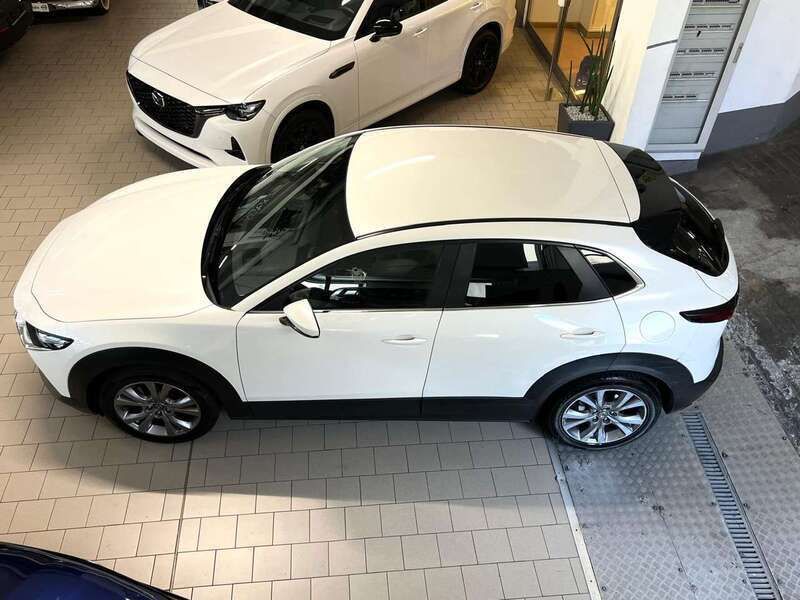 Usata Mazda CX-30 150 CV (110 kW) 2021 Bianco SUV