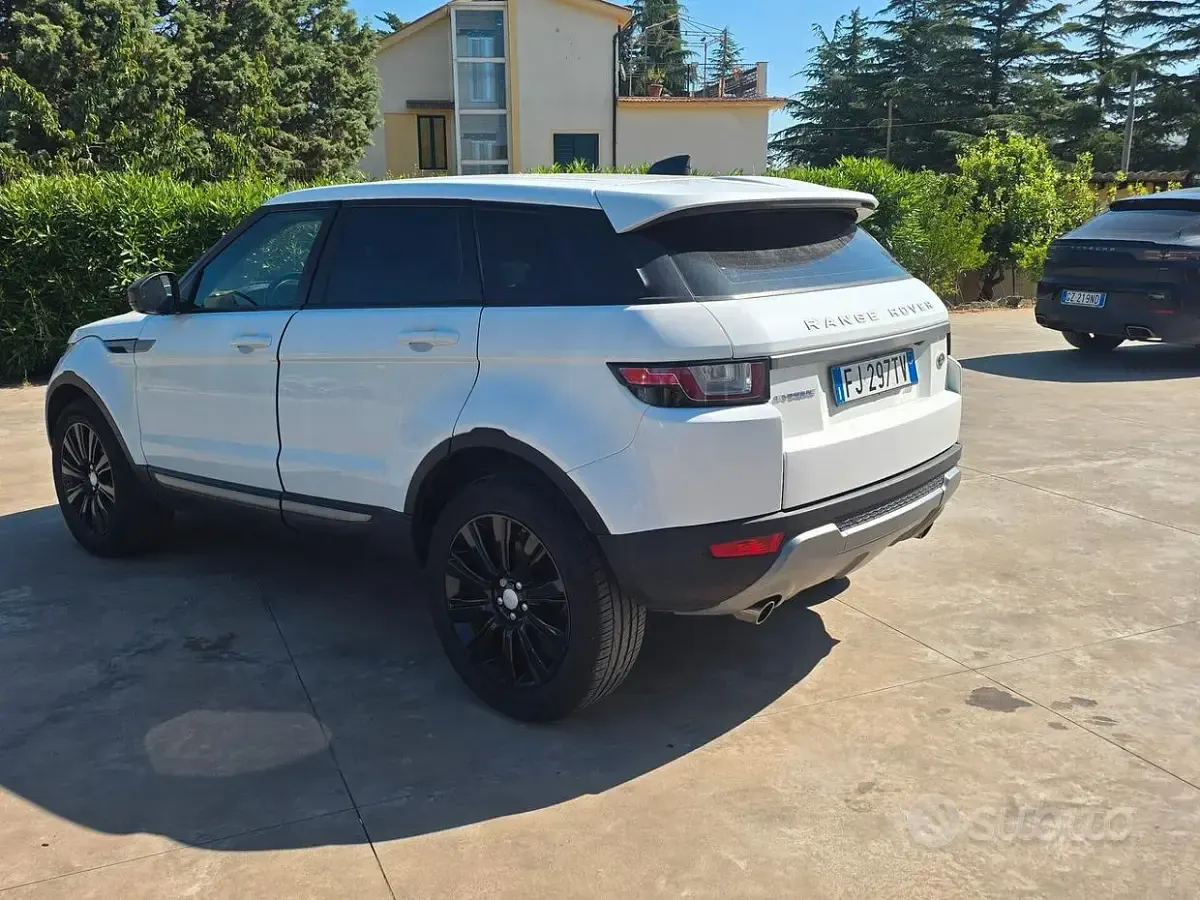 Usata Land Rover Range Rover evoque SE 150 CV (110 kW) 2017 Bianco SUV