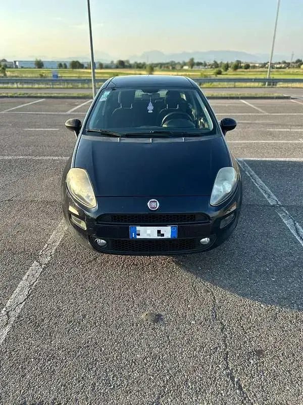Usata Fiat Punto Lounge 84 CV (61 kW) 2015 Utilitaria