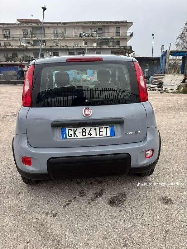 Usata Fiat Panda City Life 69 CV (50 kW) 2022 Utilitaria