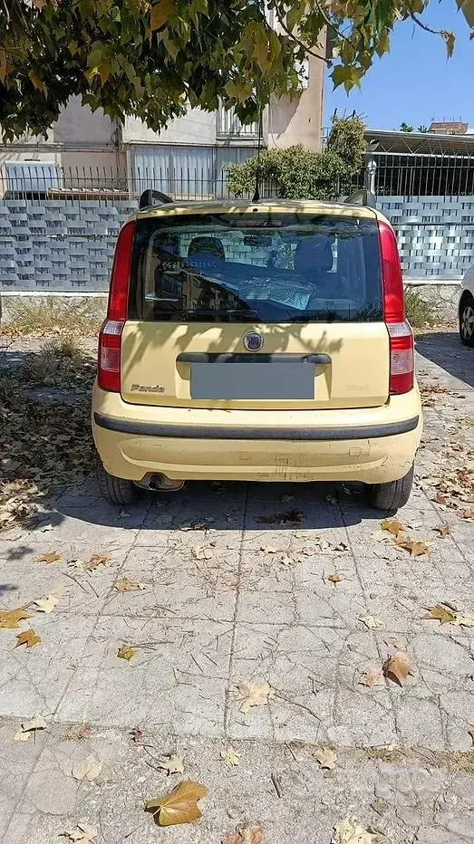 Usata Fiat Panda 60 CV (44 kW) 2009 Giallo Utilitaria