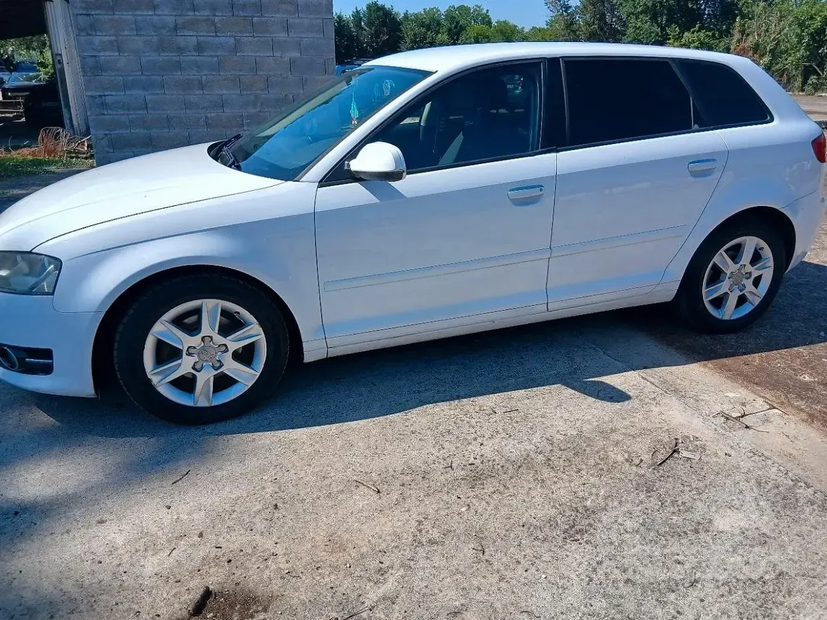 Usata Audi A3 115 CV (84 kW) 2011 Bianco Utilitaria