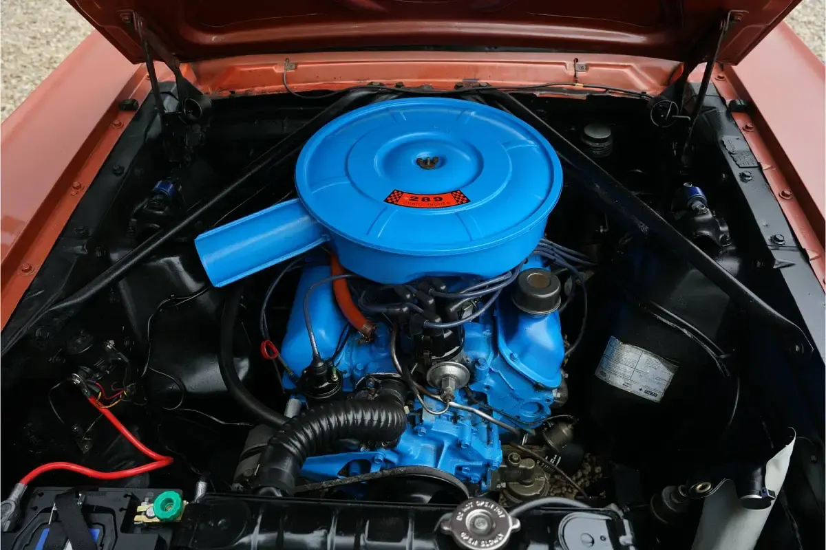 Usata Ford Mustang 228 CV (167 kW) 1966 Marrone Cabrio