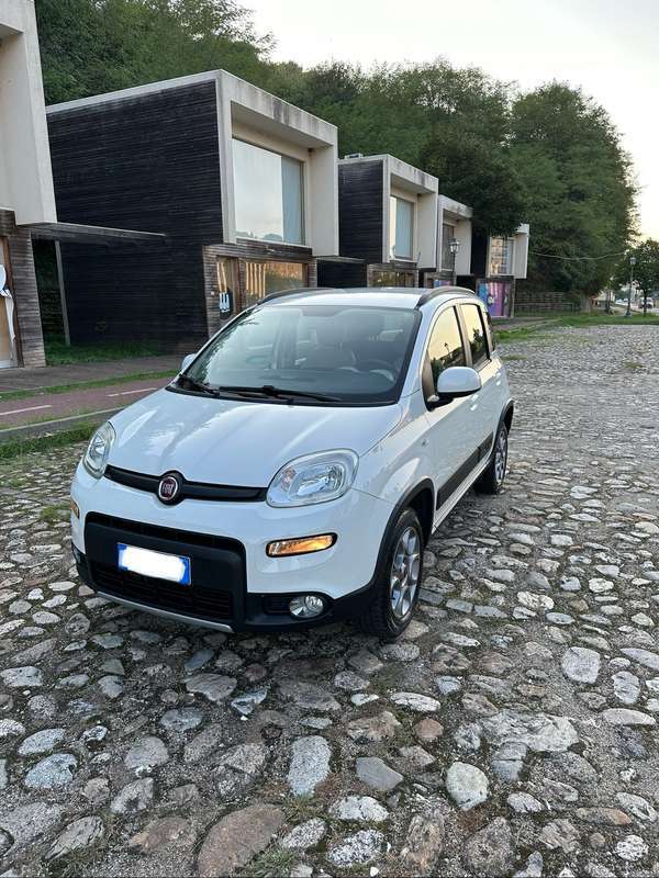 Usato 2016 Fiat Panda 4x4 1.2 Diesel 95 CV (13.500 €)
