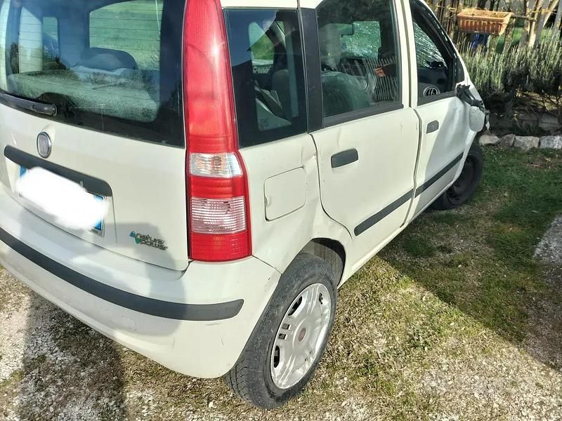 Usata Fiat Panda 60 CV (44 kW) 2012 Bianco Utilitaria
